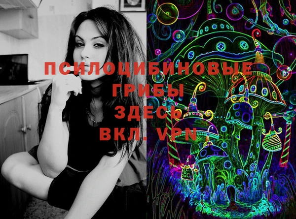 тгк Алзамай