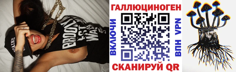 МЕГА зеркало  мориарти какой сайт  Псилоцибиновые грибы мицелий  Котлас 