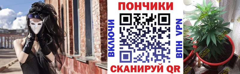 кракен как зайти Котлас нарко площадка наркотические препараты Бошки Шишки OG Kush